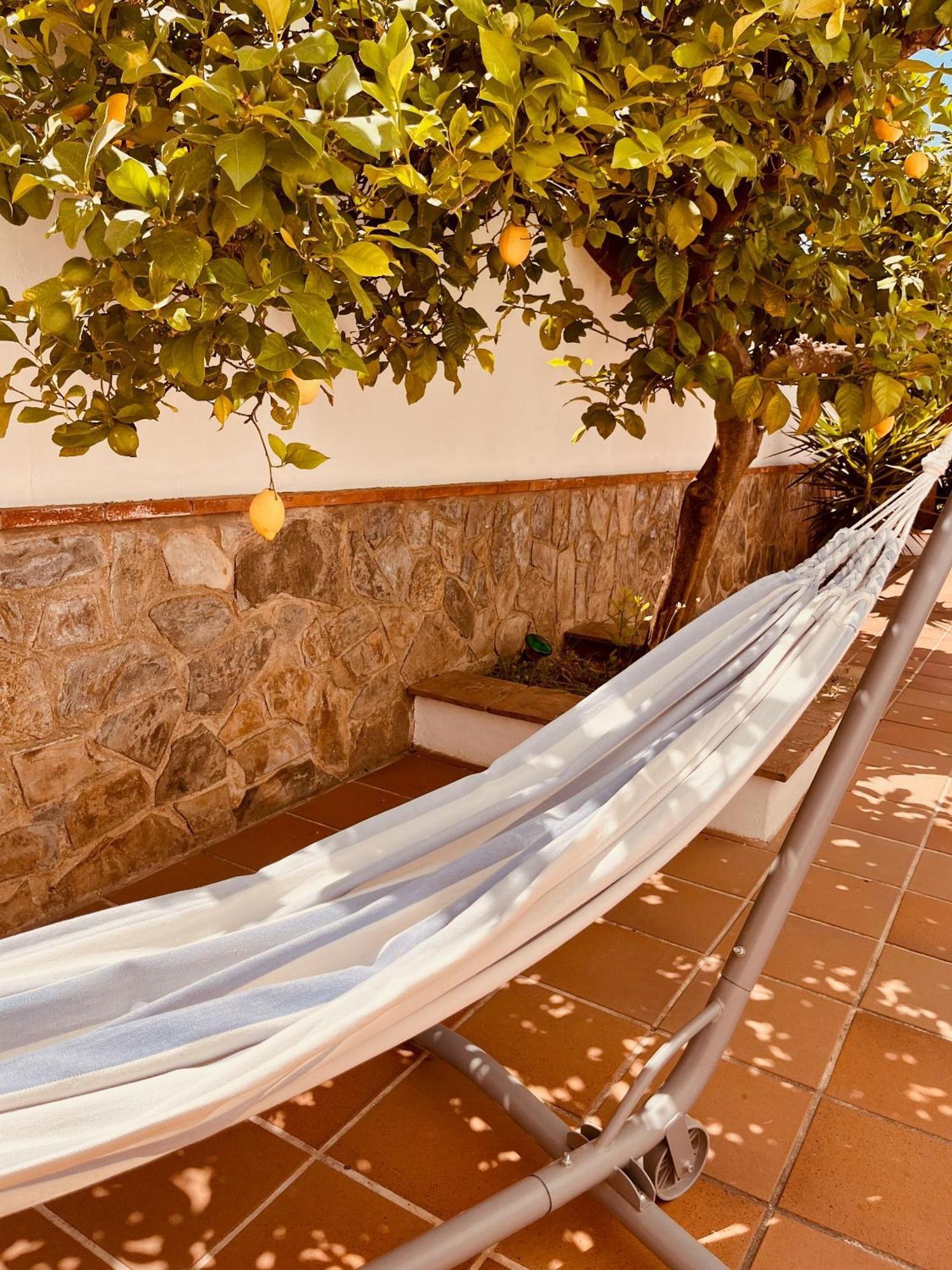 Casa Limon, Boutique Bed And Breakfast, Adults Only Alhaurin el Grande Bagian luar foto